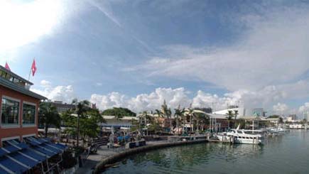 One-day Miami Tour